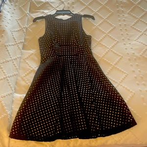 Navy /nude Ann Taylor Petite fit and flare dress